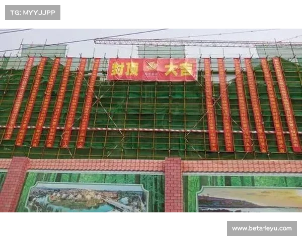 横州市村级篮球场建设获中央资金支持 村民自组监理队参与管理 横州市村级篮球场建设获中央资金支持 村民自组监理队参与管理